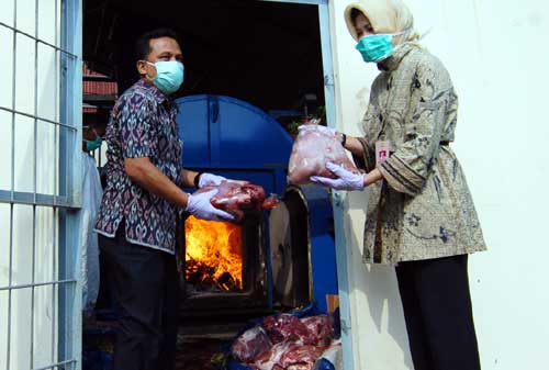 Mentan Suswono Pimpin Pemusnahan 7,4 Ton Daging Celeng